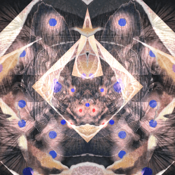 21AUG08 ☳☲»☲☰