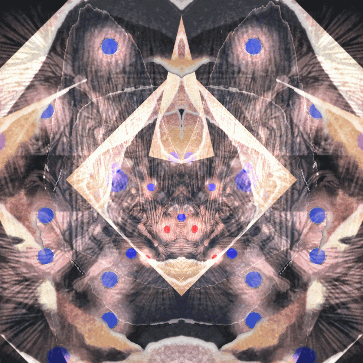 21AUG08 ☳☲»☲☰